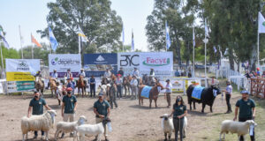 Ya tienen fecha las tres grandes fiestas del 2022 que distinguen a la Rural San Luis