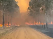 Incendios en el norte: “El desatino de responsabilizar a las víctimas”