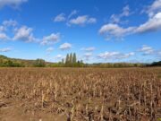 El fenómeno La Niña comienza a disiparse lentamente
