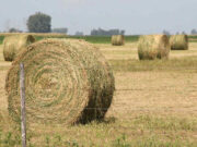 Nuevas tecnologías para almacenar rollos y megafardos