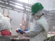 Trabajadores de la carne: cerraron Paritaria Interanual del 50%