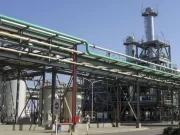 San Luis: Diaser paró la producción de su planta de biodiésel porque trabaja a pérdida