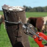 20170520124123_corte_alambre_robo_vaca823cf9d9eed71635