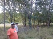 Horticultura a escala: Trabajo de la Agricultura Familiar en La Toma