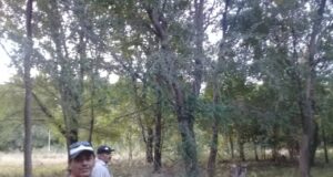 Horticultura a escala: Trabajo de la Agricultura Familiar en La Toma