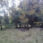 277353347_283543337296006_1351100157054073995_n