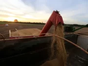 Falta gasoil en el campo, un insumo clave en medio del inicio de la cosecha de soja y maíz