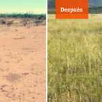 ANTES DESPUES 1