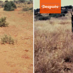 ANTES DESPUES 3