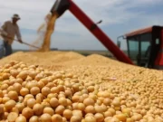 El campo volvió a rechazar las restricciones a las exportaciones y a posibles aumentos de las retenciones