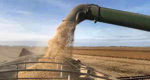 Cierran las exportaciones de aceite y harina de soja y subirían las retenciones