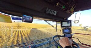 El rol de la inteligencia de datos en los sistemas productivos sustentables
