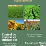 WhatsApp Image 2022-03-29 at 6.53.16 PM