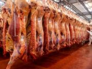 Cómo puede afectar el conflicto entre Rusia y Ucrania al mercado de carnes