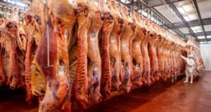 Cómo puede afectar el conflicto entre Rusia y Ucrania al mercado de carnes