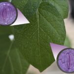 gabicover_1_opt (1)