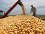 Sociedad Rural de San Luis: “No podemos tolerar otro saqueo a la producción”