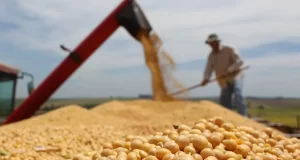 Sociedad Rural de San Luis: “No podemos tolerar otro saqueo a la producción”