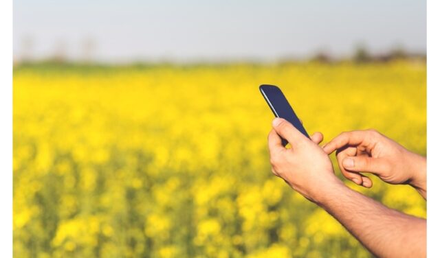 smartphone-mobile-man-grass-plant-technology-722879-pxhere.com-60479eed1dcf0