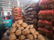 Mendoza: Dictan media sanción a una normativa que prohíbe la producción de papa transgénica en Malargüe