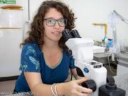 Estudian en San Luis la evolución de peces fósiles de la era de los dinosaurios