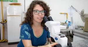 Estudian en San Luis la evolución de peces fósiles de la era de los dinosaurios