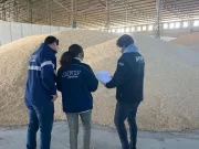 “Agroexportadoras truchas”: desbarataron 60 firmas creadas para fugar divisas
