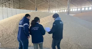 “Agroexportadoras truchas”: desbarataron 60 firmas creadas para fugar divisas