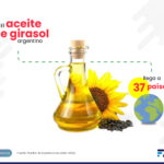 Monitor expo girasol