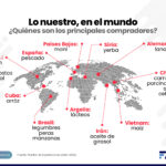 Monitor expo principales compradores