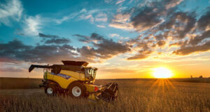 Avanza la cosecha de soja en San Luis con rindes superiores a las expectativas iniciales