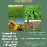 WhatsApp Image 2022-04-04 at 6.42.36 PM