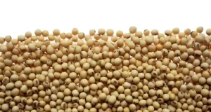 Fuertes subas para soja, trigo y maíz: los datos que impulsaron al mercado de granos
