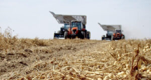 El sector manisero reclama una solución urgente a la falta de combustible