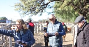 Irma Díaz, una ganadera puntana de familia con mujeres poderosas
