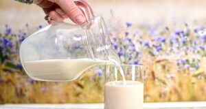Obtienen leche caprina pasteurizada y fortificada con hierro