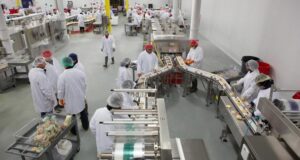 Nuevo material de envasado de Sealed Air reduce hasta un 33% del uso de plástico