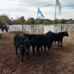 WhatsApp Image 2022-05-07 at 8.58.10 PM (1)