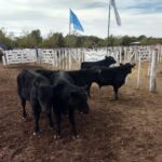 WhatsApp Image 2022-05-07 at 8.58.10 PM