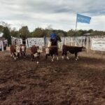 WhatsApp Image 2022-05-07 at 8.58.11 PM (1)