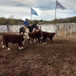 WhatsApp Image 2022-05-07 at 8.58.11 PM (2)