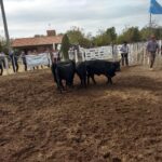 WhatsApp Image 2022-05-07 at 8.58.12 PM (1)