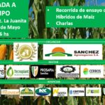 WhatsApp Image 2022-05-08 at 11.35.25 AM