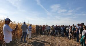 Bayer ve en San Luis condiciones óptimas para expandir la superficie con maíz