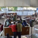 WhatsApp Image 2022-05-20 at 8.37.22 PM