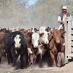 WhatsApp Image 2022-05-20 at 8.37.23 PM