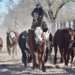 WhatsApp Image 2022-05-20 at 8.37.25 PM (1)