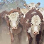 WhatsApp Image 2022-05-20 at 8.37.26 PM