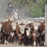 WhatsApp Image 2022-05-20 at 8.37.26 PM (2)