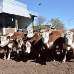 WhatsApp Image 2022-05-20 at 8.37.27 PM (1)